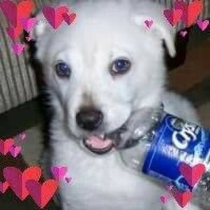 Meet your Posher, Sheila